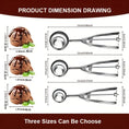 Load image into Gallery viewer, 3pcs Stainless Steel Cookie Dough Scoop Set
